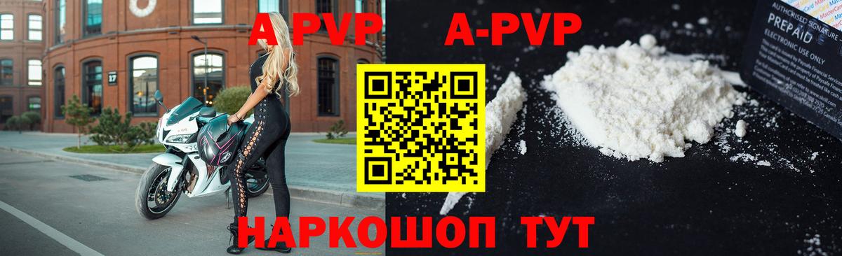Alpha PVP СК КРИС Курчалой