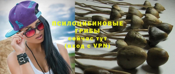 трава Алзамай