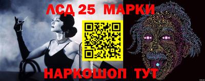 ПСИЛОЦИБИНОВЫЕ ГРИБЫ Заволжье