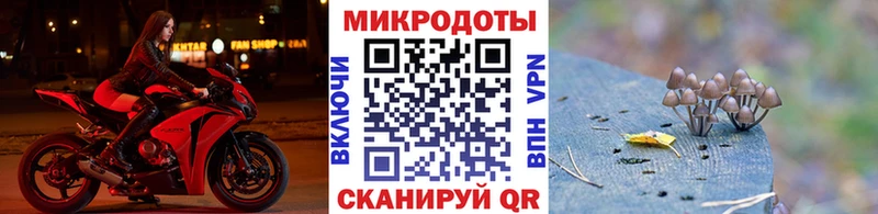 Галлюциногенные грибы Magic Shrooms Курчалой