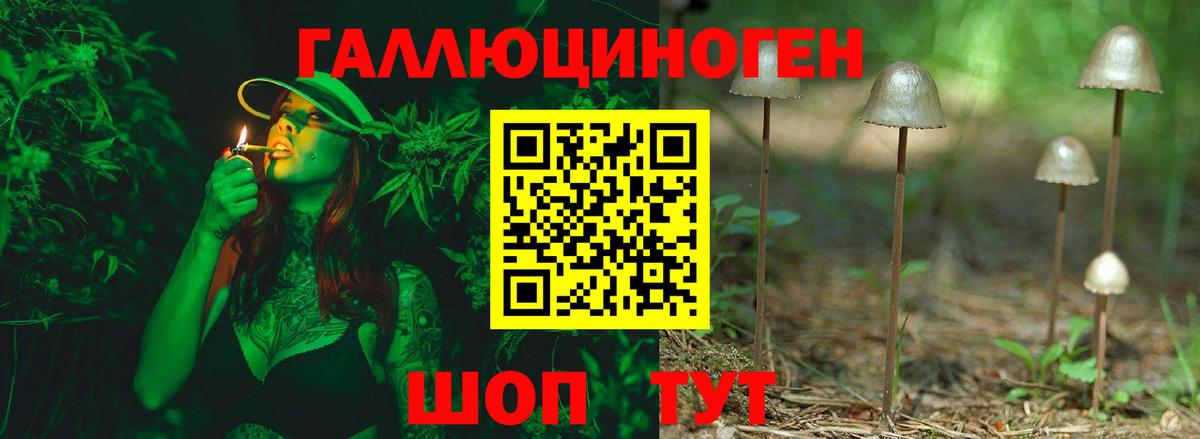 Псилоцибиновые грибы прущие грибы  Вход с VPN  Курчалой 