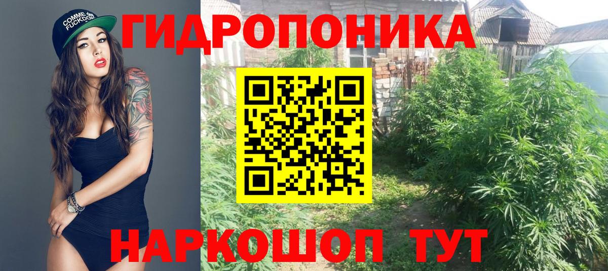 Конопля ГИДРОПОН  Марихуана SATIVA & INDICA  Марихуана ГИДРОПОН  Курчалой  Шишки марихуана Bruce Banner  Вход с VPN 